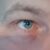 Profilbild von Wolfssuche
